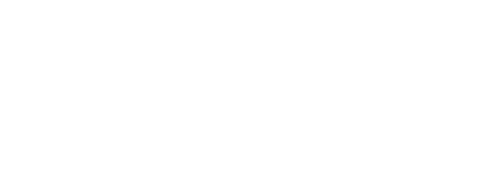 Privy brand logo