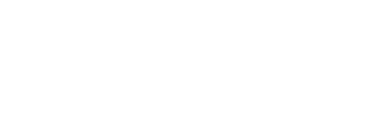 Shameless Snacks brand logo